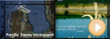 Pacific Farms, Incorporated AGRI - ECO Tour