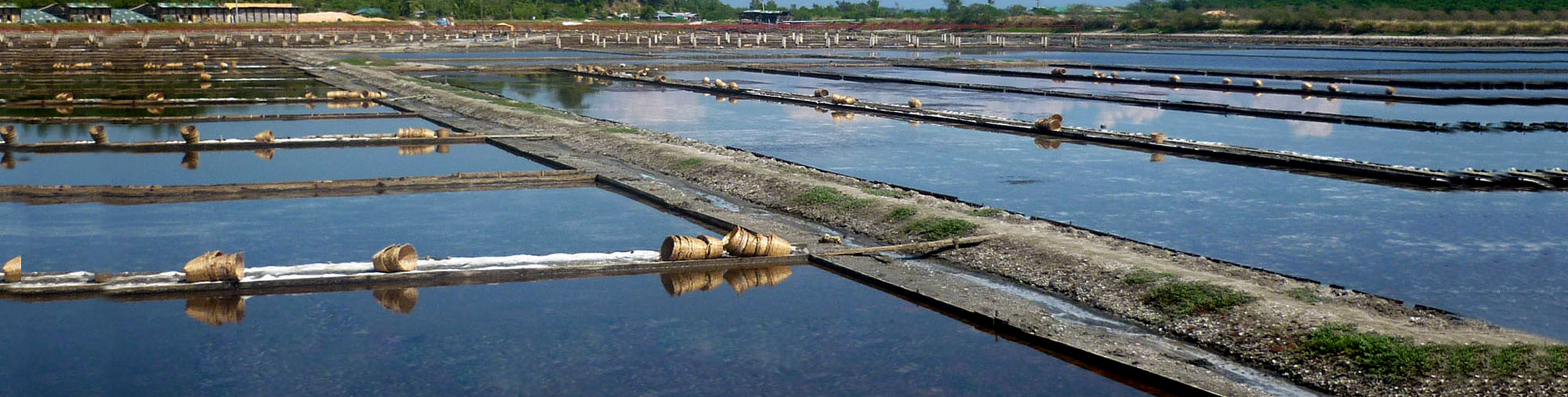 PFI Farm