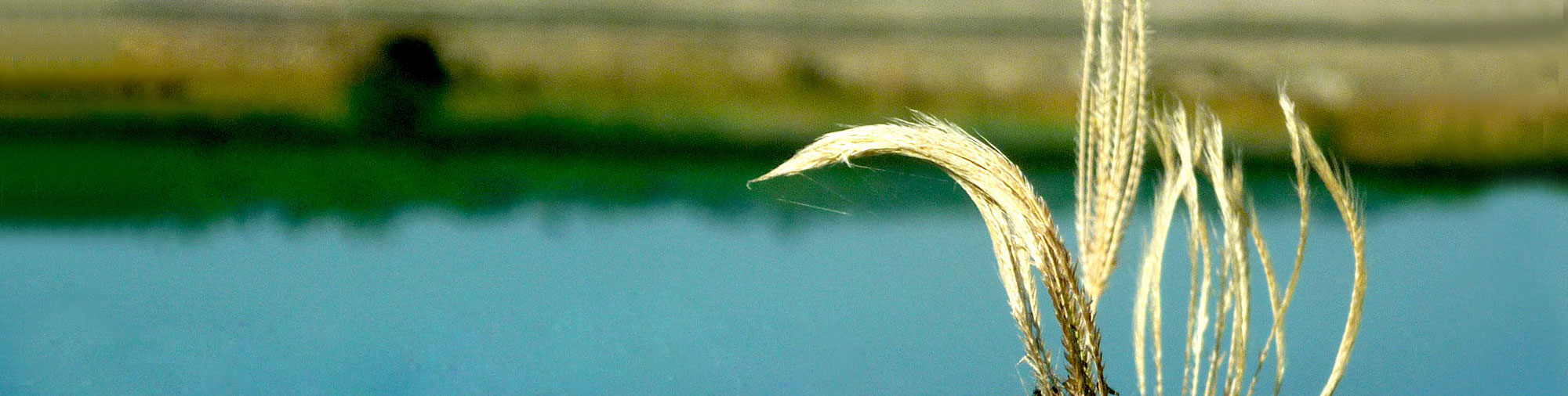 PFI Nature